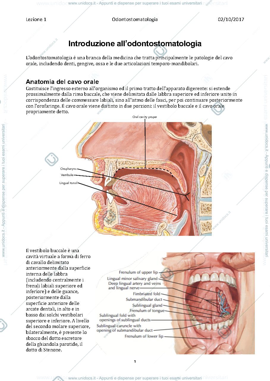 Anteprima pagina 1 — Odontostomatologia