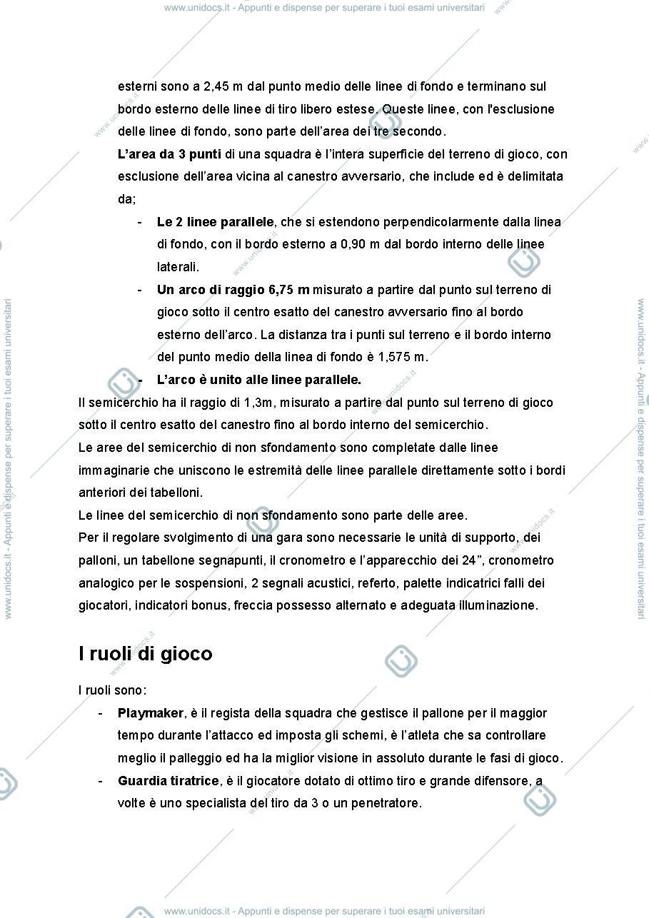 Anteprima pagina 2 — Basket-Riassunto schematico