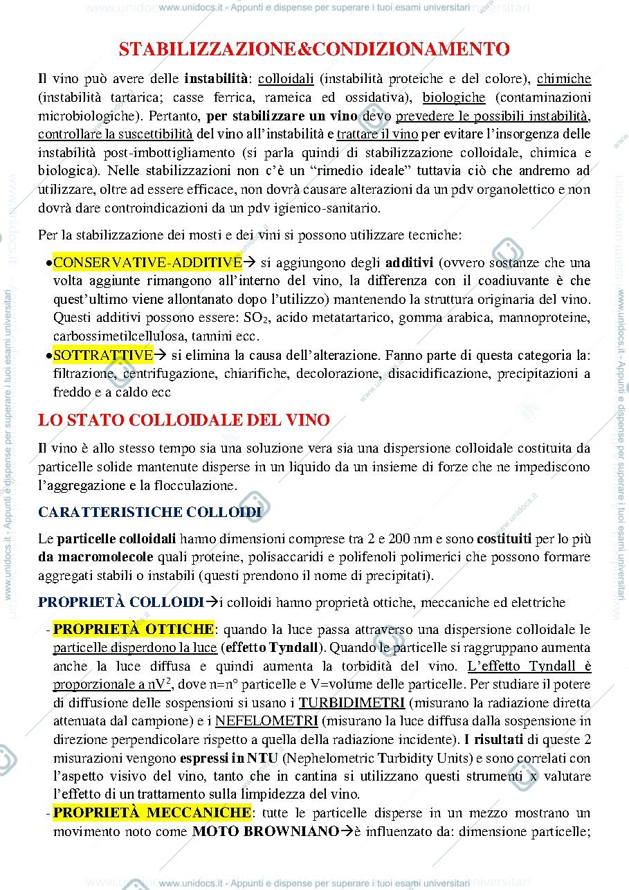 Anteprima pagina 1 — Riassuntone