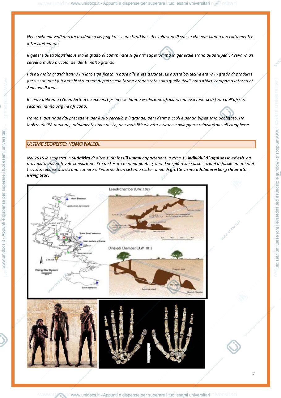 Anteprima pagina 3 — Appunti archeologia preistorica
