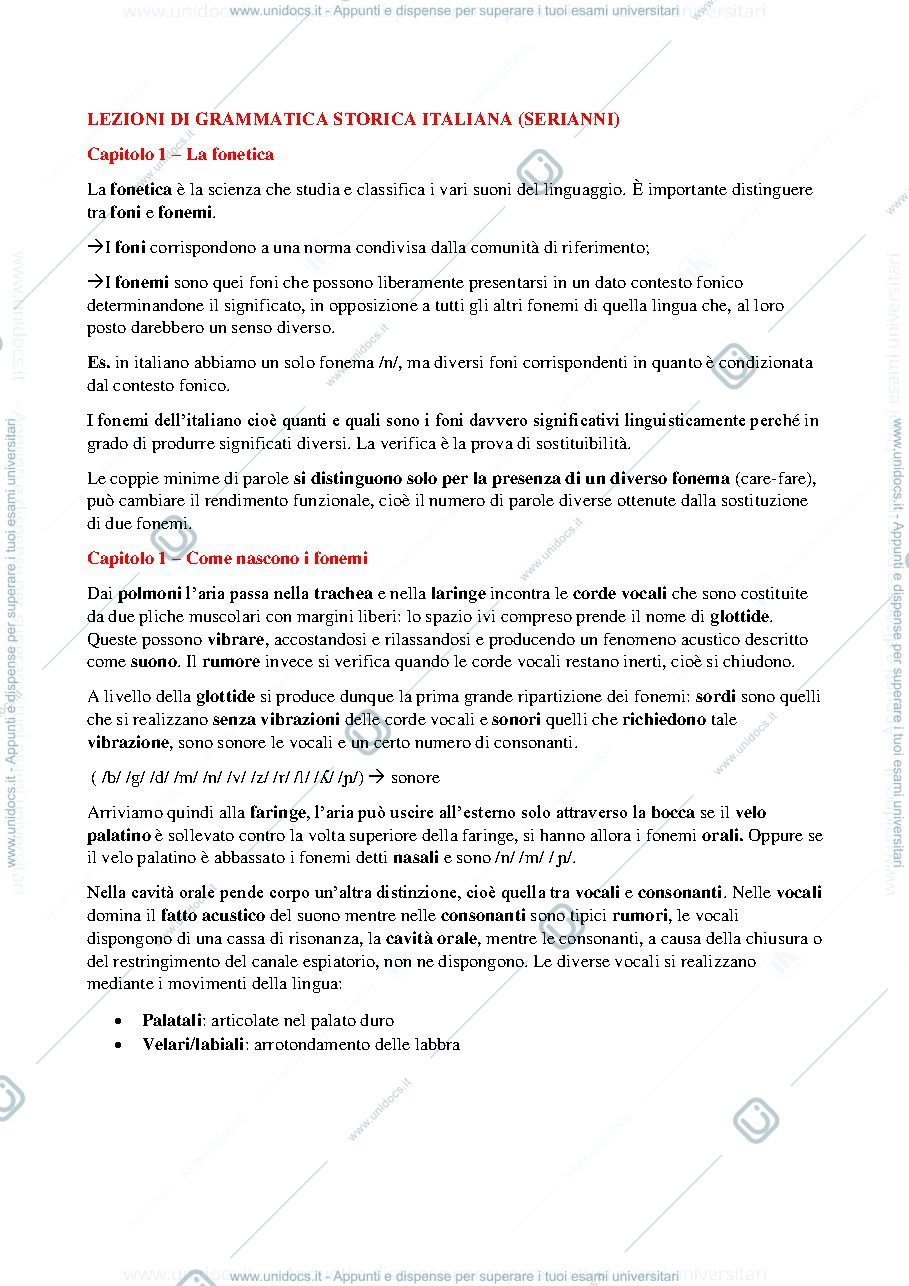 Anteprima pagina 1 — Riassunto del Serianni