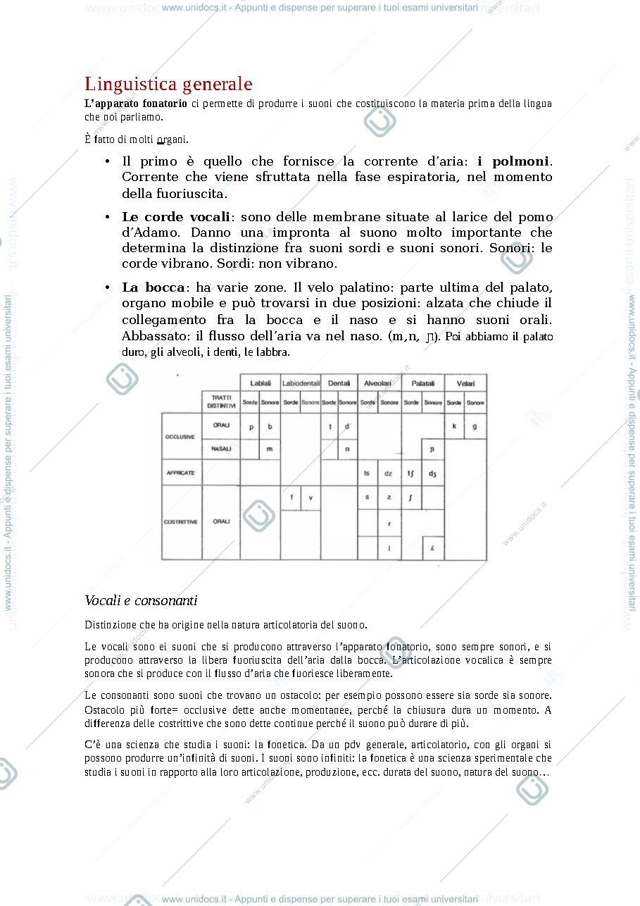 Anteprima pagina 2 — Appunti storia della lingua italiana