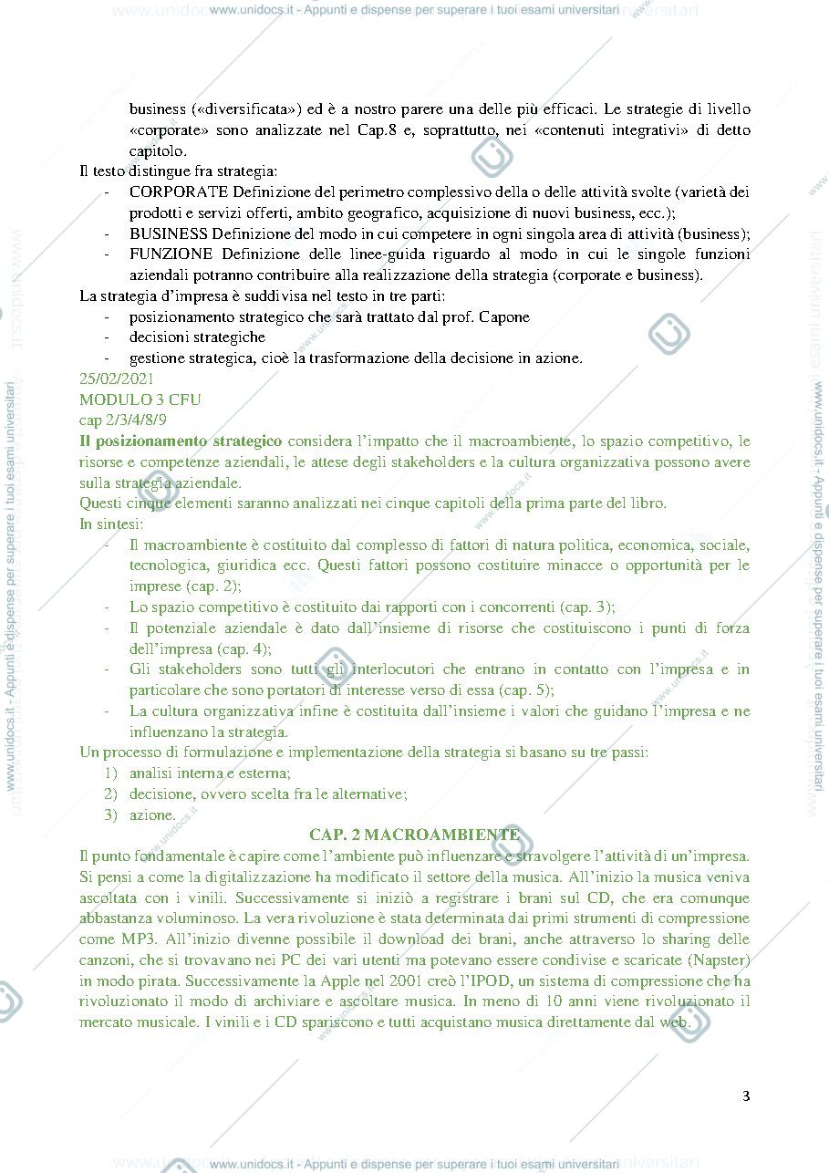 Anteprima pagina 3 — strategia dell'impresa