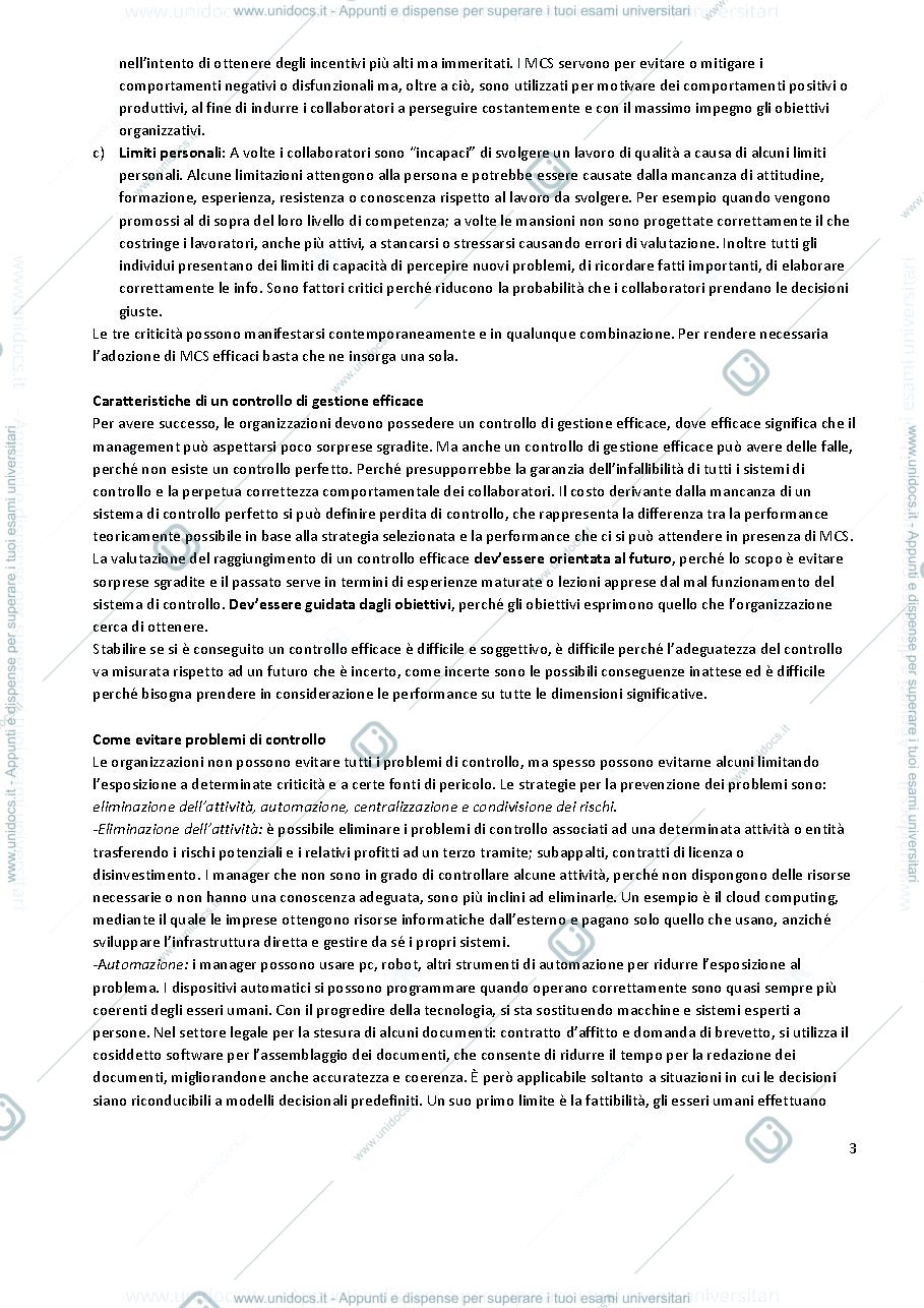 Anteprima pagina 3 — sistemi di controllo di gestione
