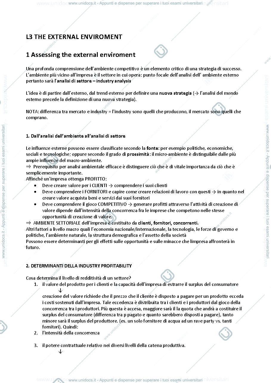 Anteprima pagina 1 — THE EXTERNAL ENVIROMENT