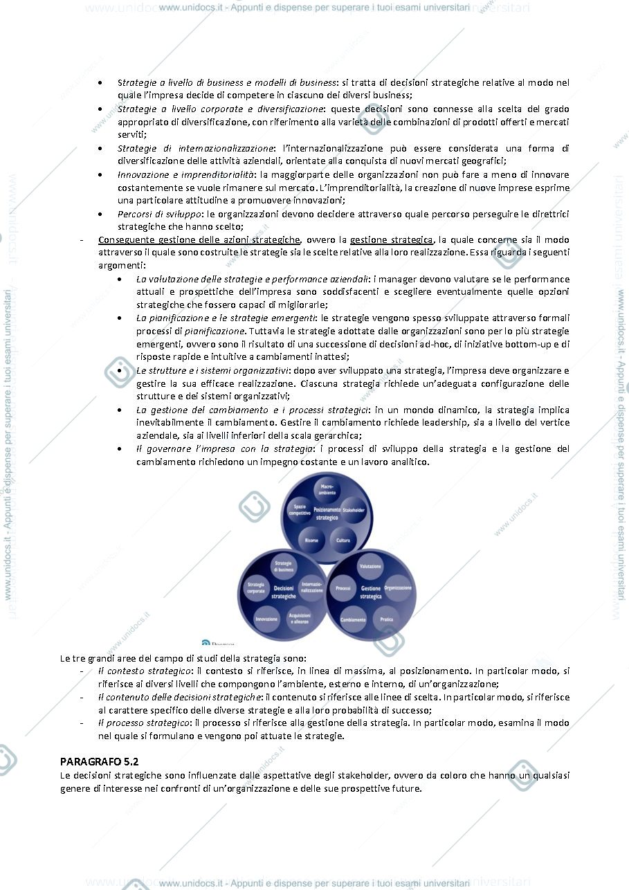 Anteprima pagina 4 — STRATEGIA E POLITICA AZIENDALE