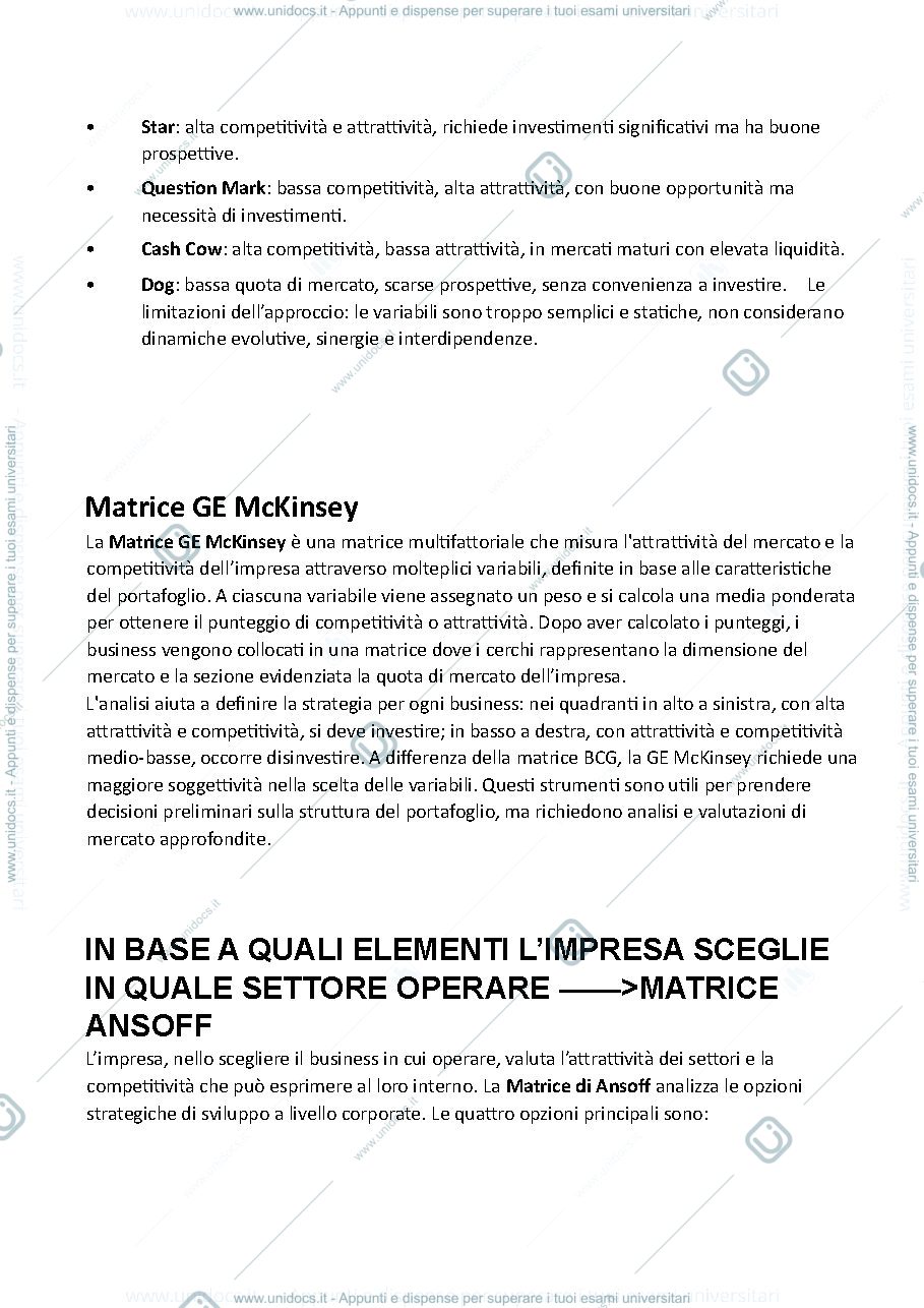 Anteprima pagina 2 — RISPOSTE SINTETIZZATE STRATEGIA D'IMPRESA