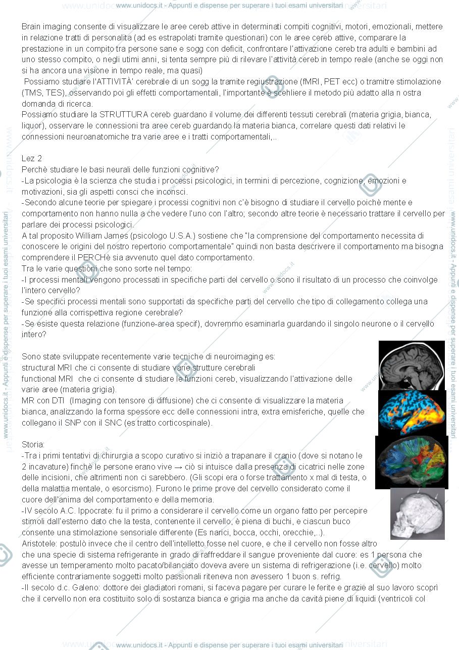 Anteprima pagina 2 — appunti neuroimaging
