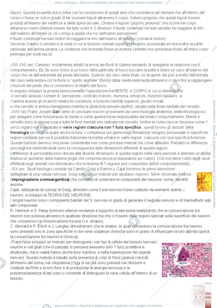 Anteprima pagina 3 — appunti neuroimaging