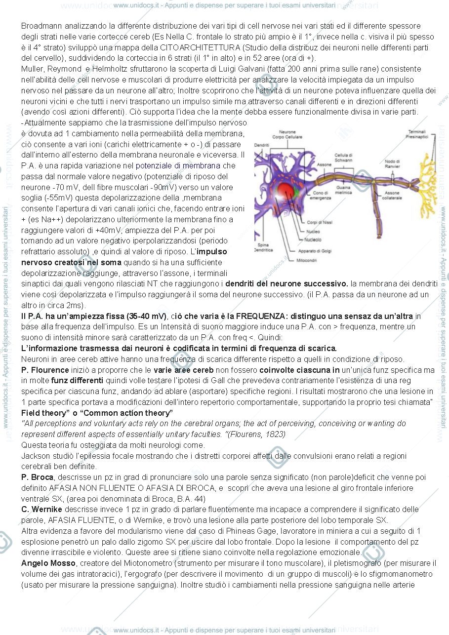 Anteprima pagina 4 — appunti neuroimaging