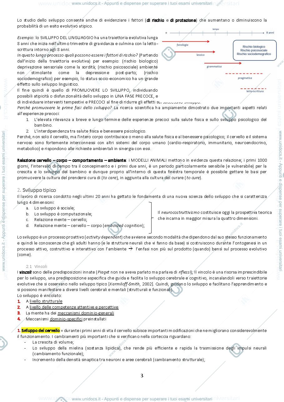 Anteprima pagina 3 — appunti sviluppo cognitivo