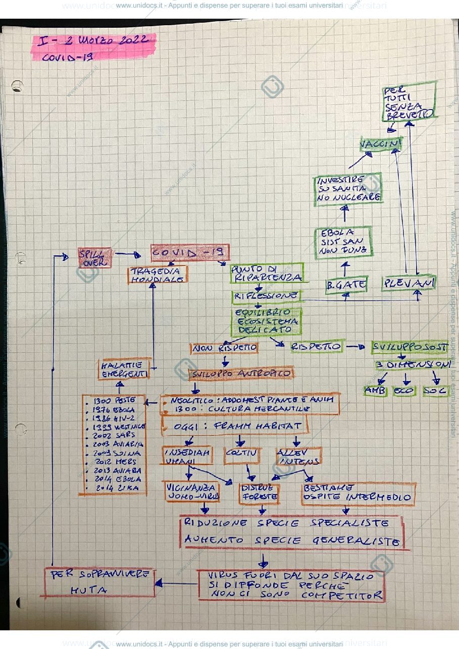 Anteprima pagina 2 — Mappe 