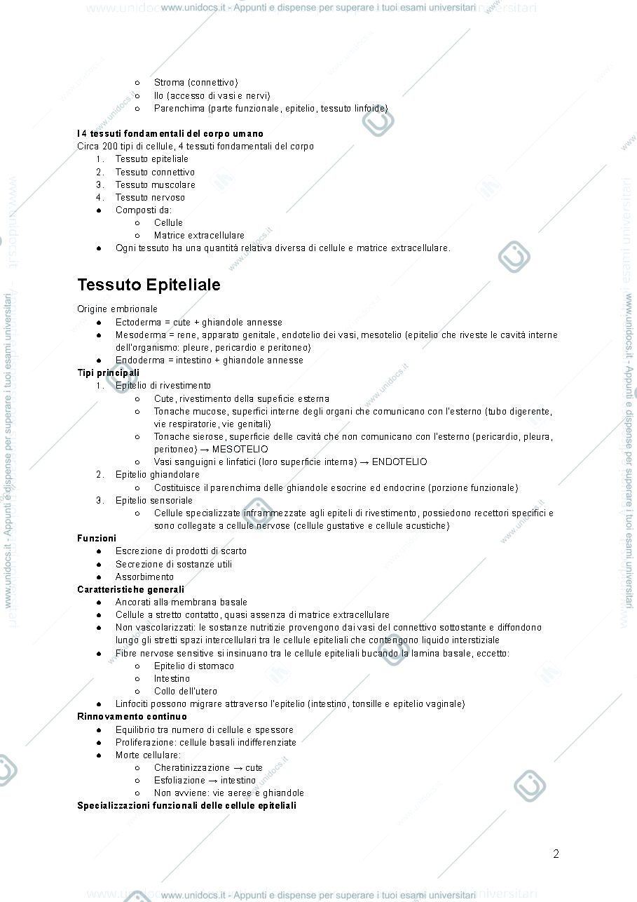 Anteprima pagina 2 — appunti completi sviluppo struttura e funzioni di organi ed apparati