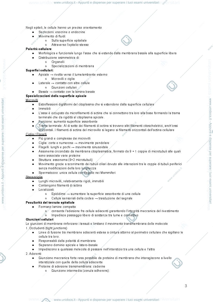 Anteprima pagina 3 — appunti completi sviluppo struttura e funzioni di organi ed apparati