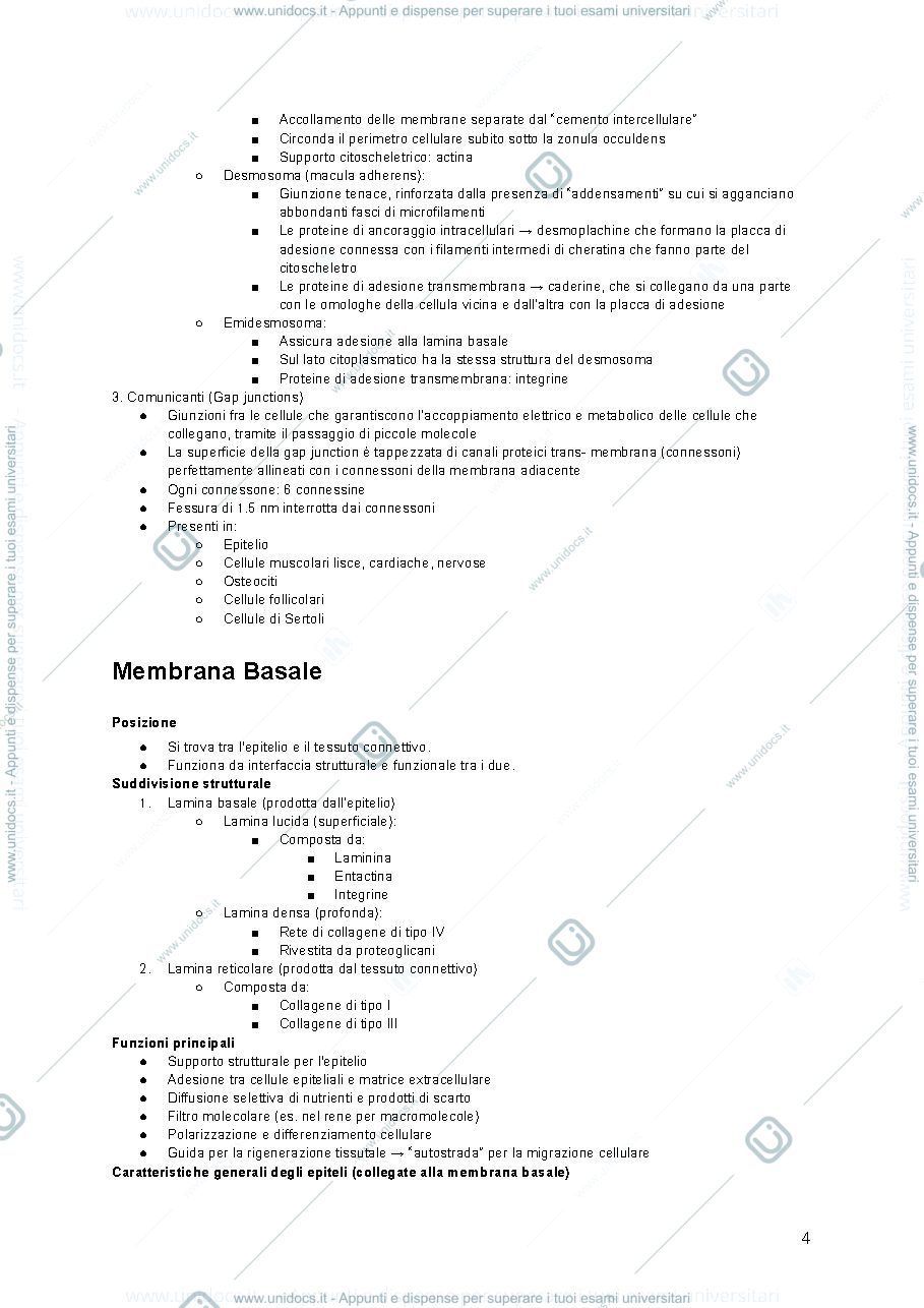 Anteprima pagina 4 — appunti completi sviluppo struttura e funzioni di organi ed apparati