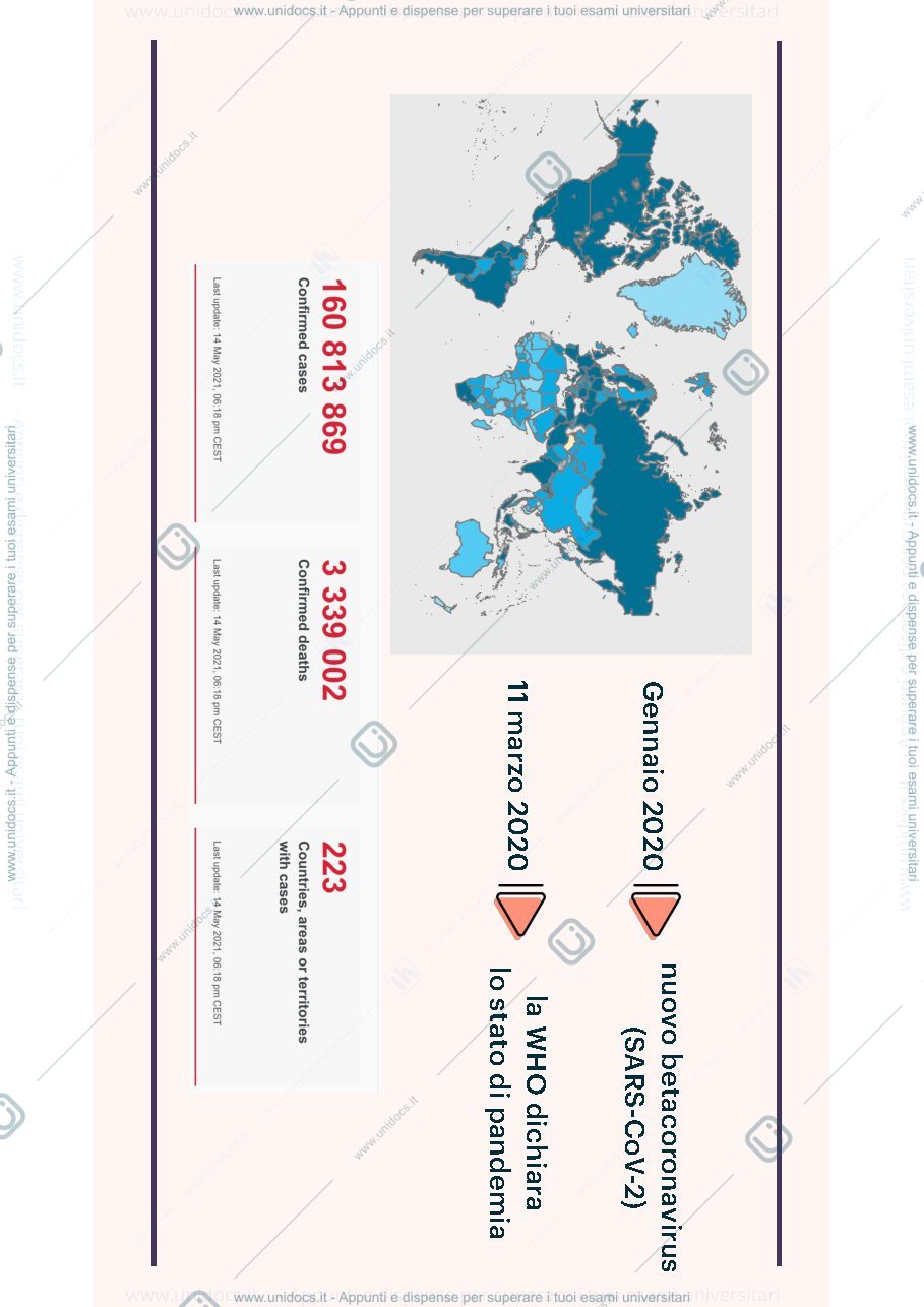 Anteprima pagina 2 — power point della presentazione per l'esame orale 