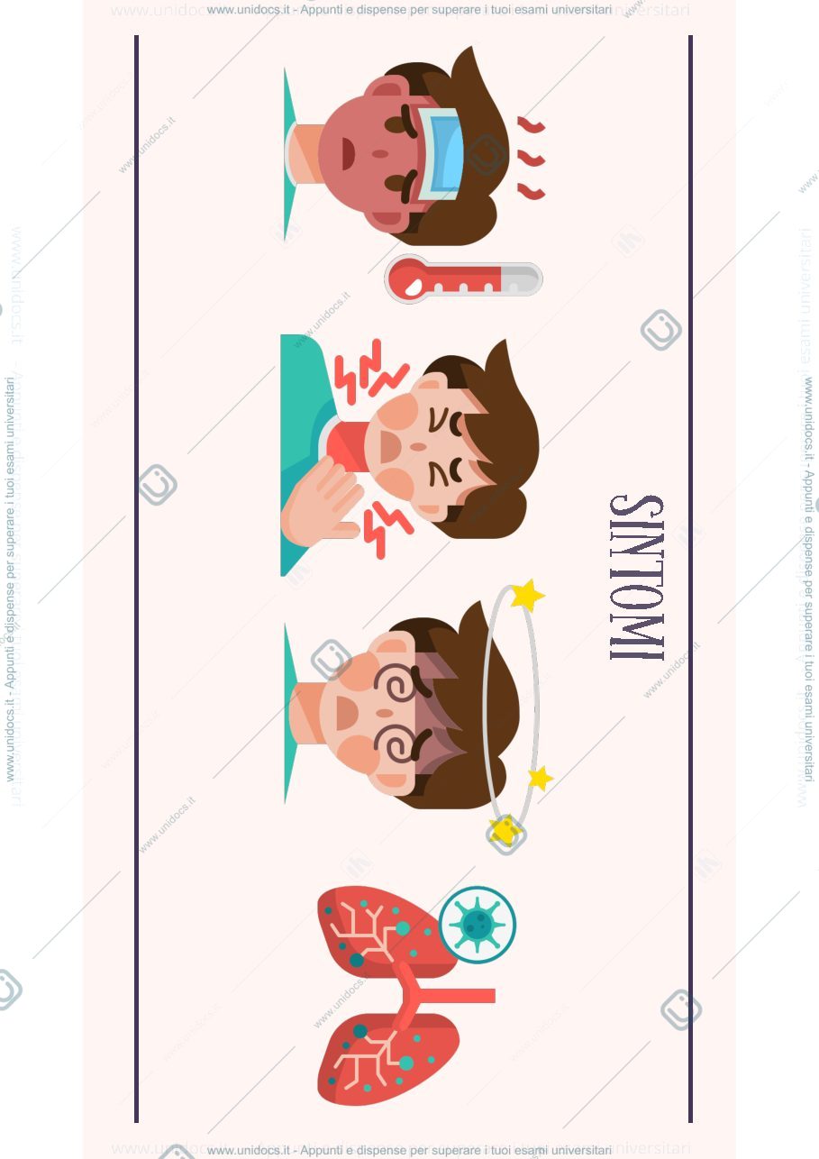 Anteprima pagina 3 — power point della presentazione per l'esame orale 