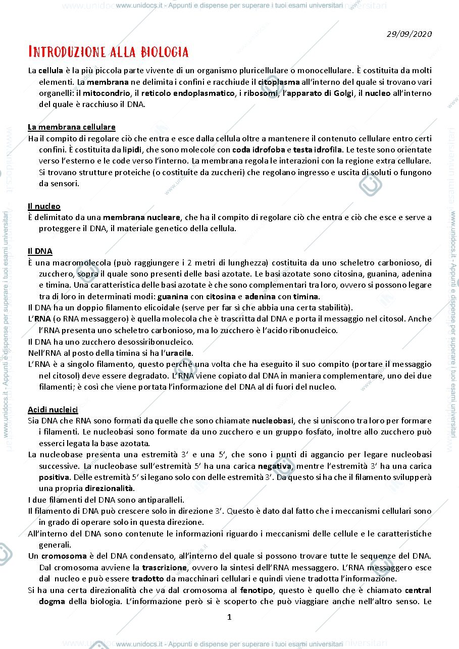 Anteprima pagina 1 — appunti presi a lezione 