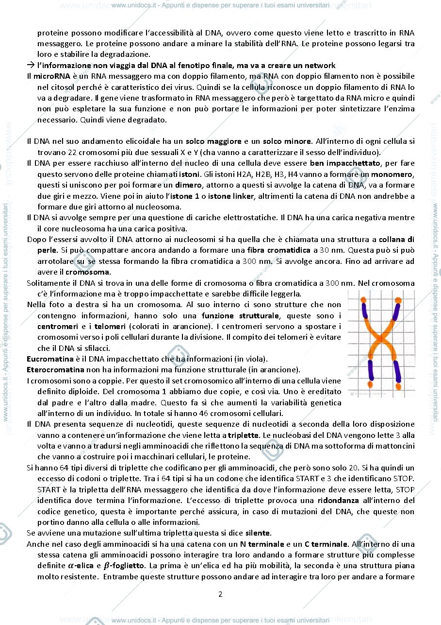 Anteprima pagina 2 — appunti presi a lezione 