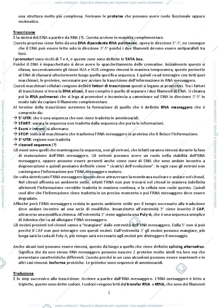 Anteprima pagina 3 — appunti presi a lezione 