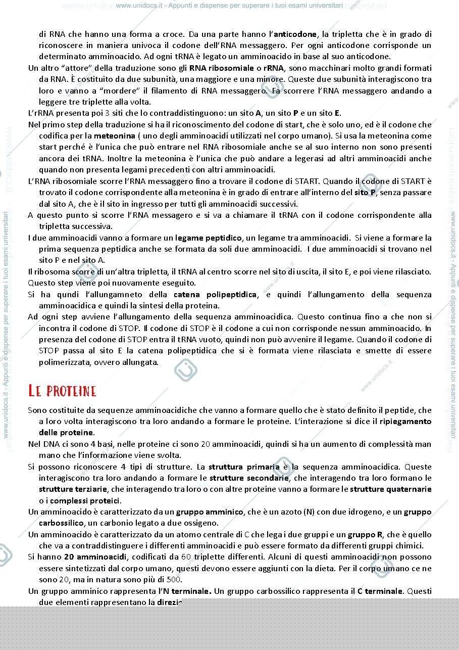 Anteprima pagina 4 — appunti presi a lezione 