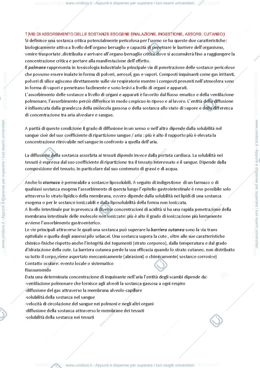 Anteprima pagina 1 — Domande modulo B