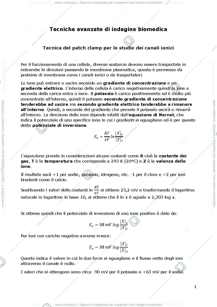 Anteprima pagina 1 — TAIB RIASSUNTO