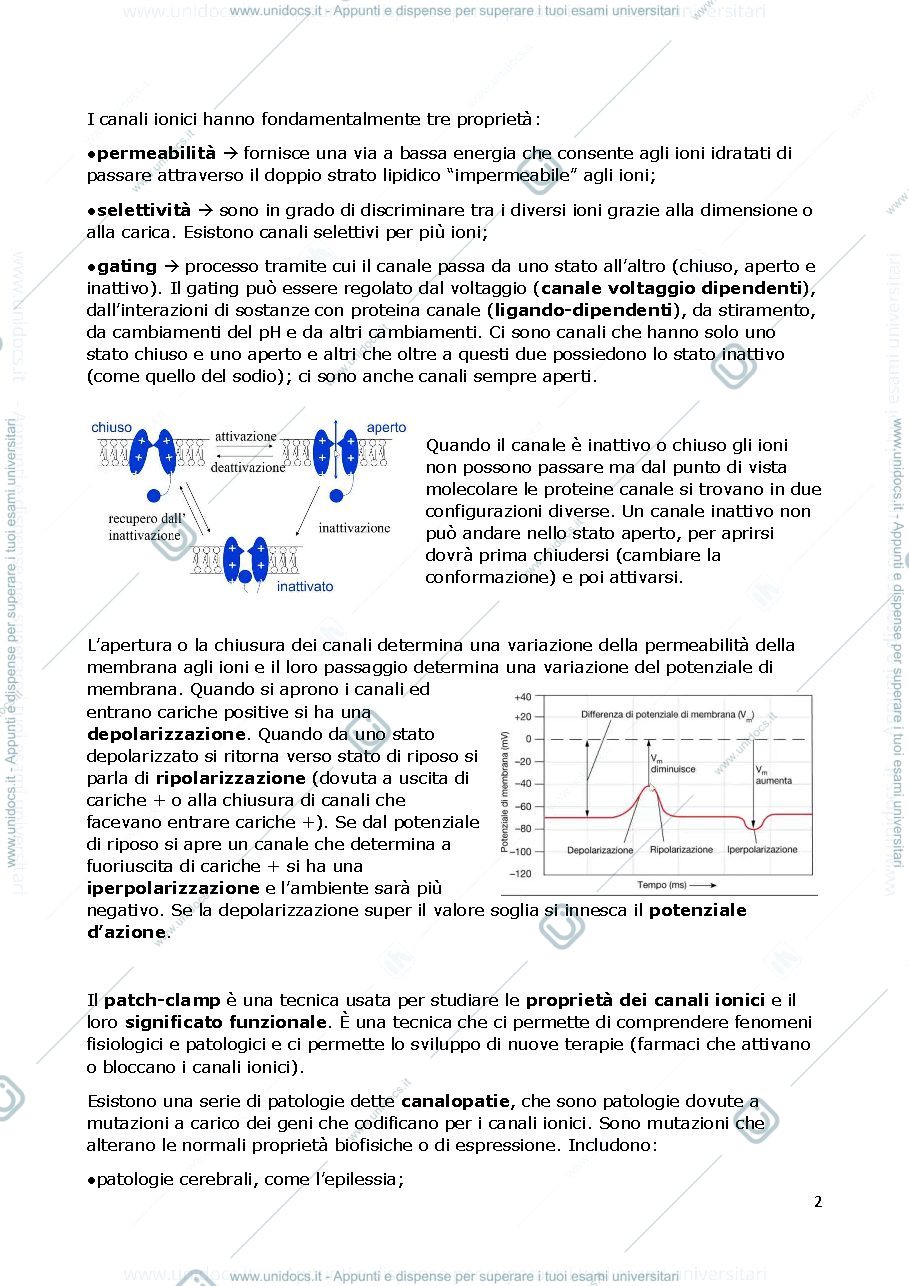Anteprima pagina 2 — TAIB RIASSUNTO