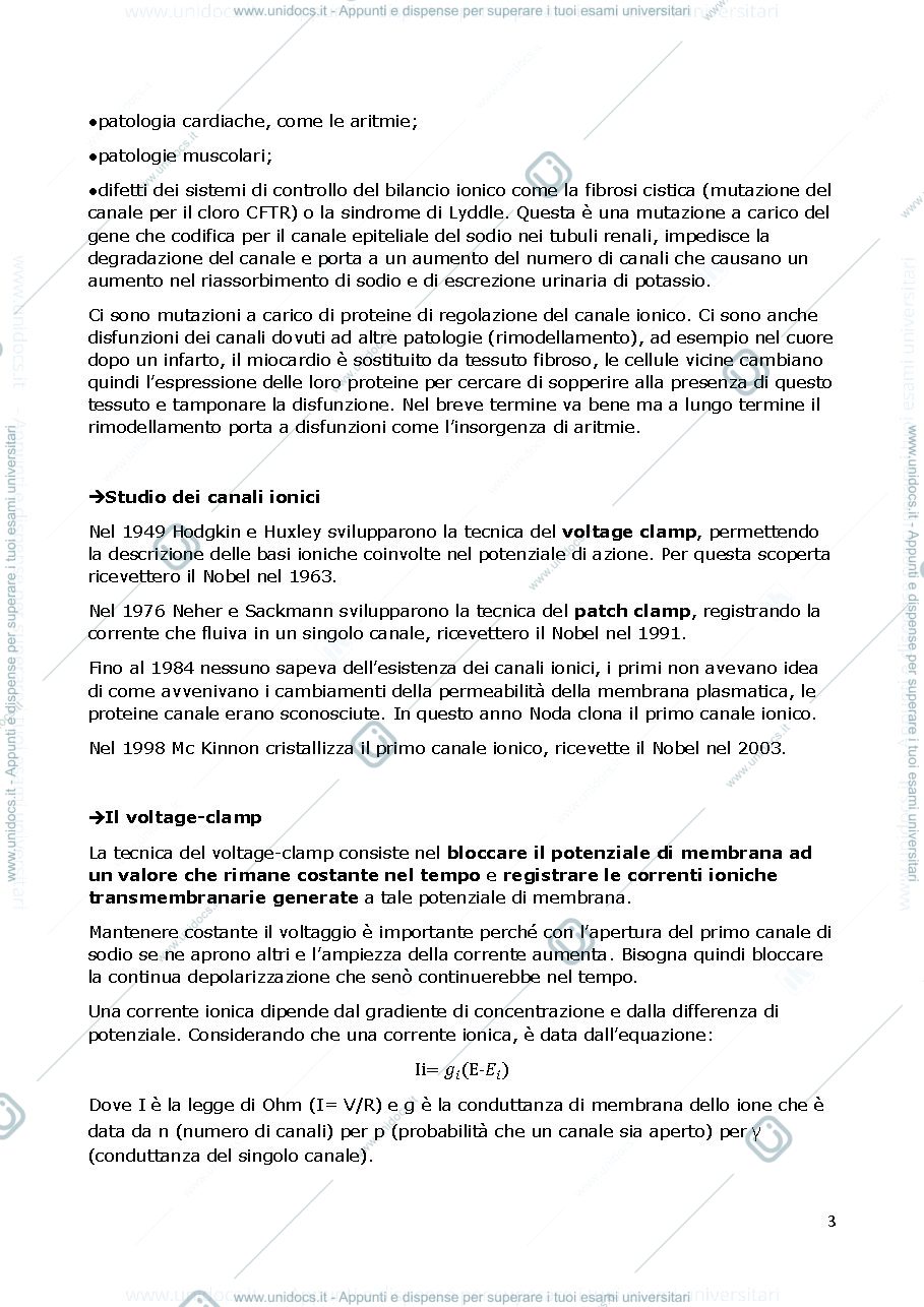 Anteprima pagina 3 — TAIB RIASSUNTO