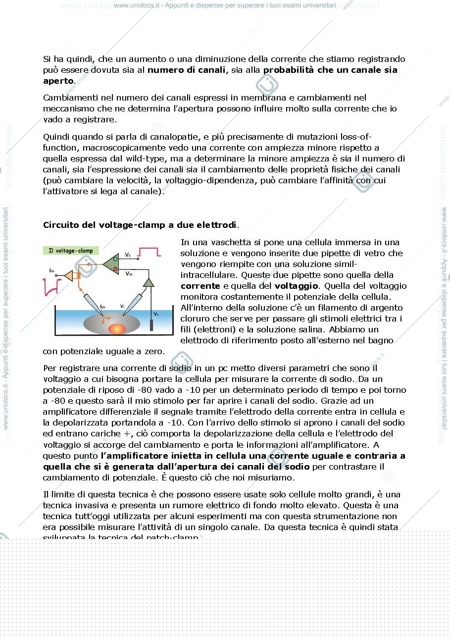 Anteprima pagina 4 — TAIB RIASSUNTO