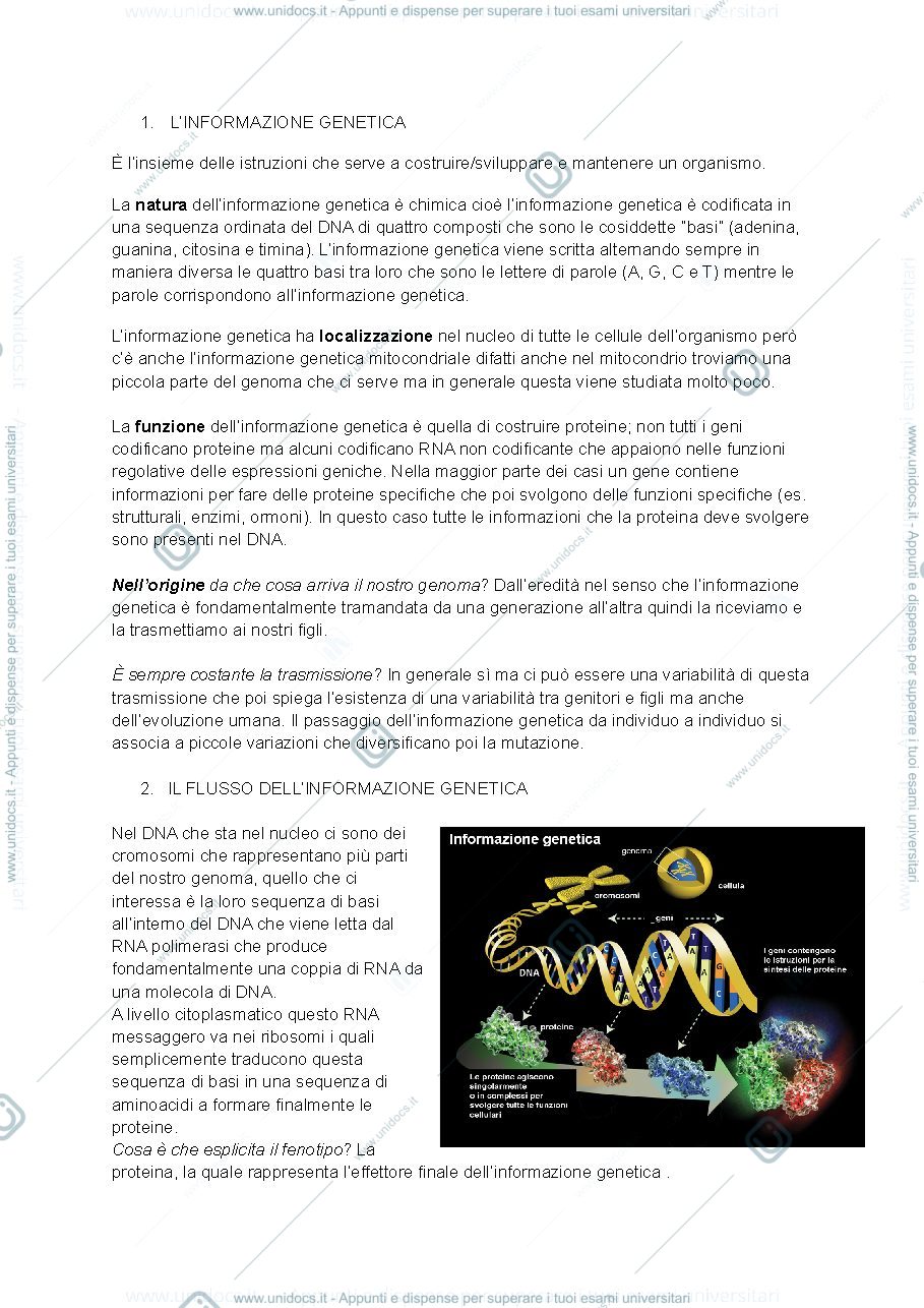 Anteprima pagina 3 — Biologia molecolare 