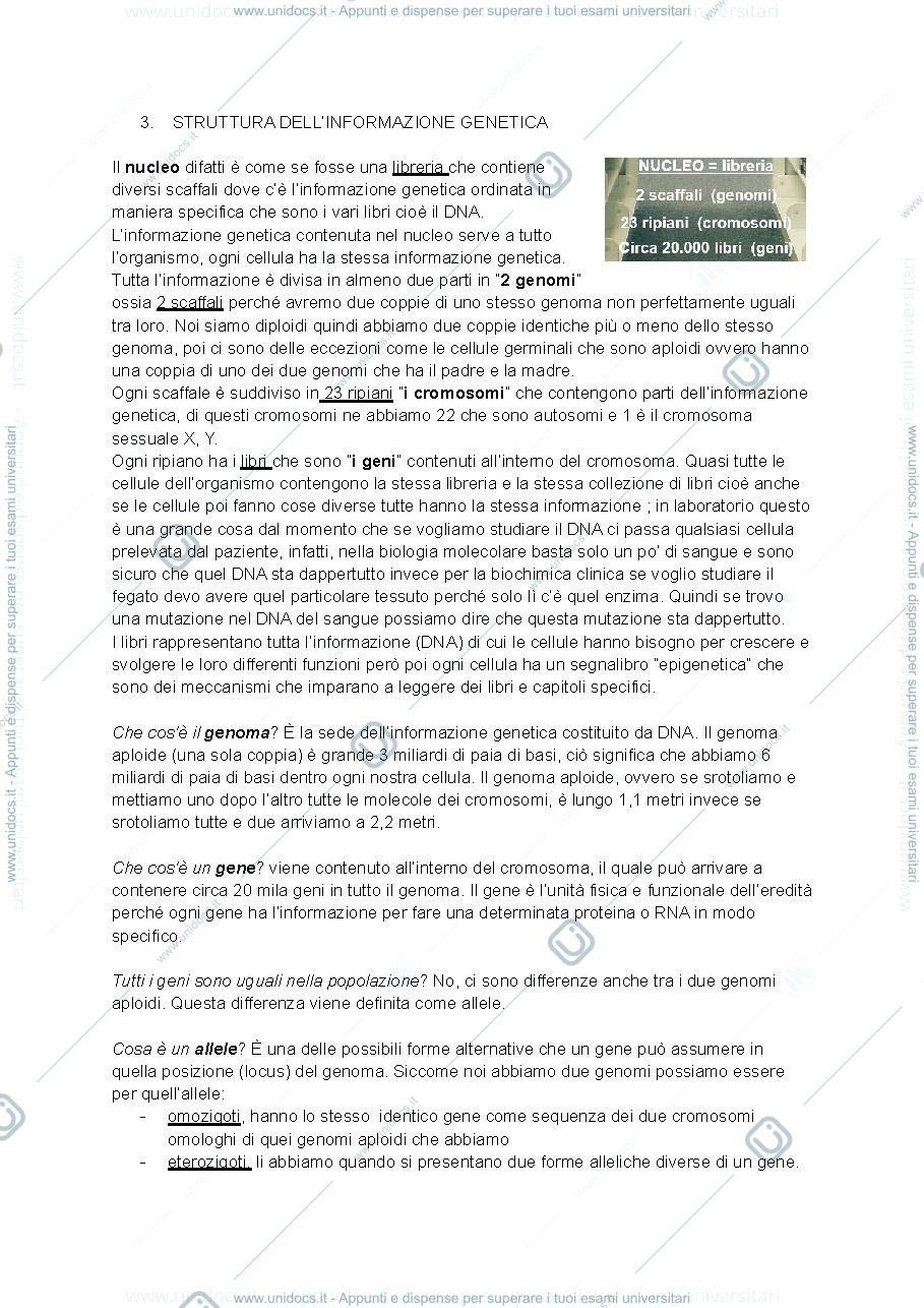 Anteprima pagina 4 — Biologia molecolare 