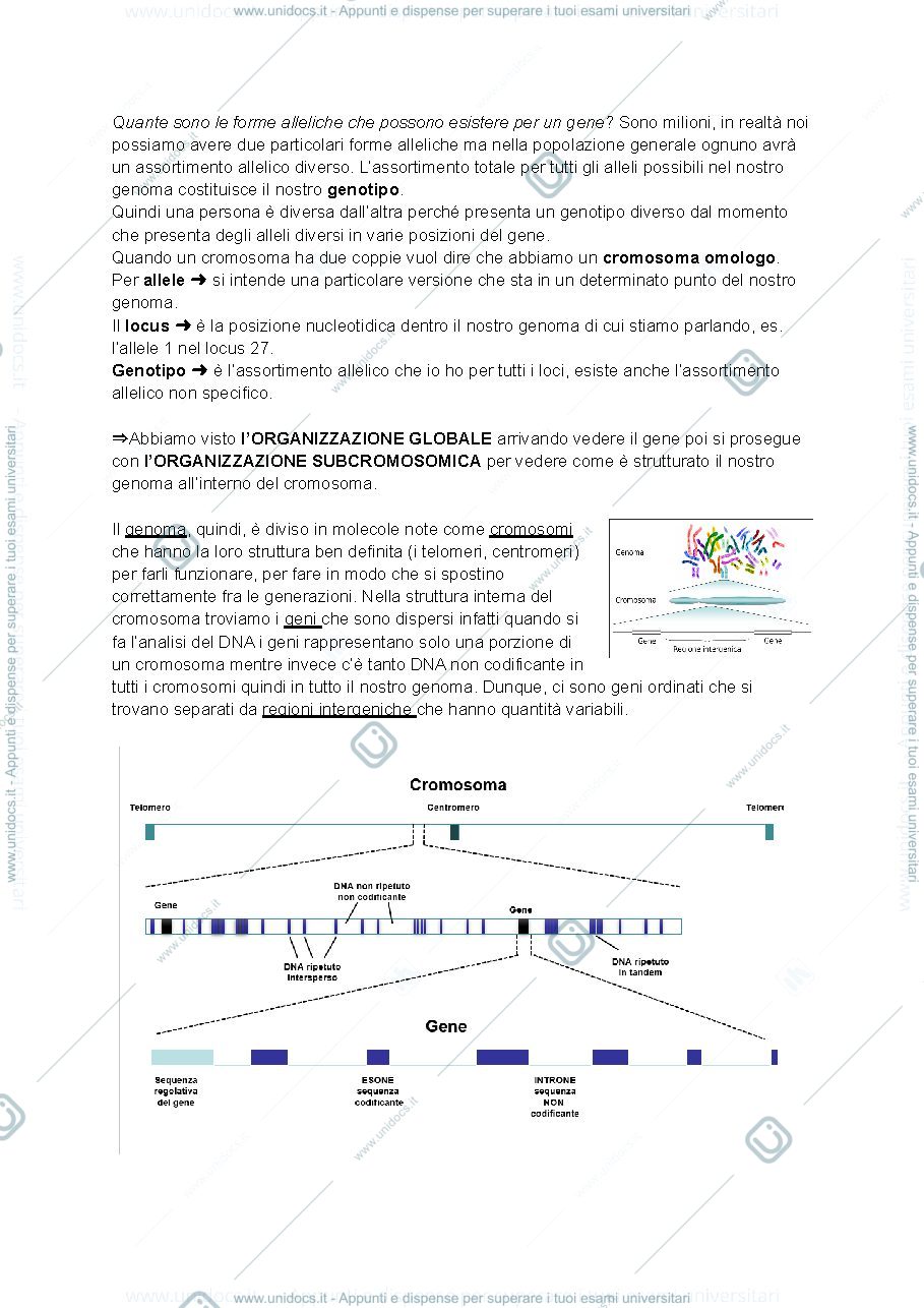 Anteprima pagina 5 — Biologia molecolare 