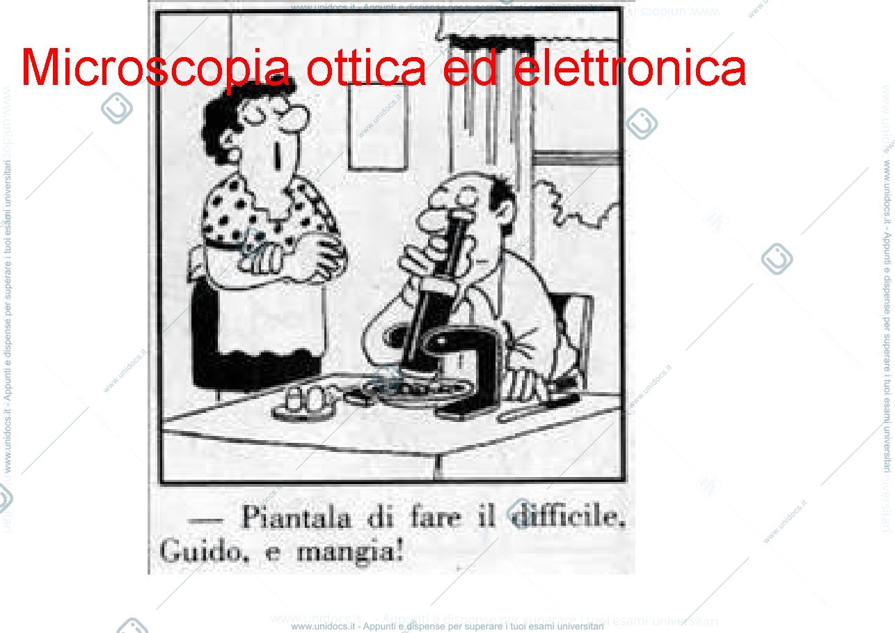 Anteprima pagina 1 — Microscopia ottica ed elettronica copia