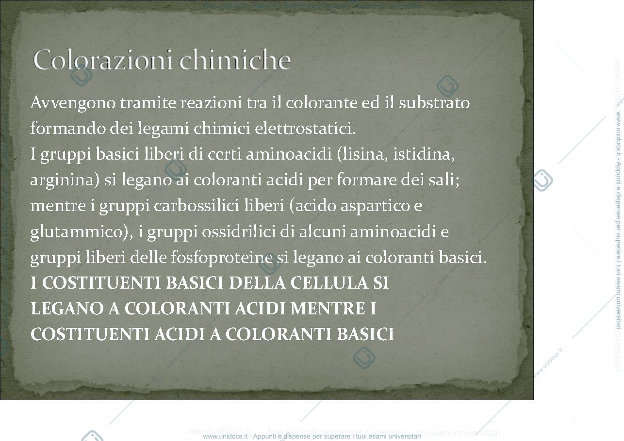 Anteprima pagina 3 — colorazione