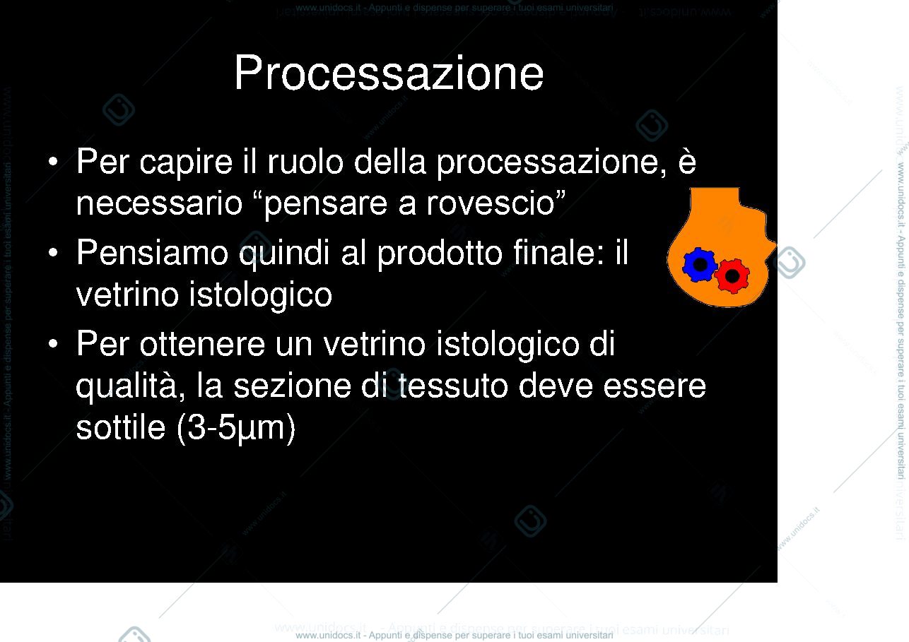 Anteprima pagina 2 — processazione e taglio