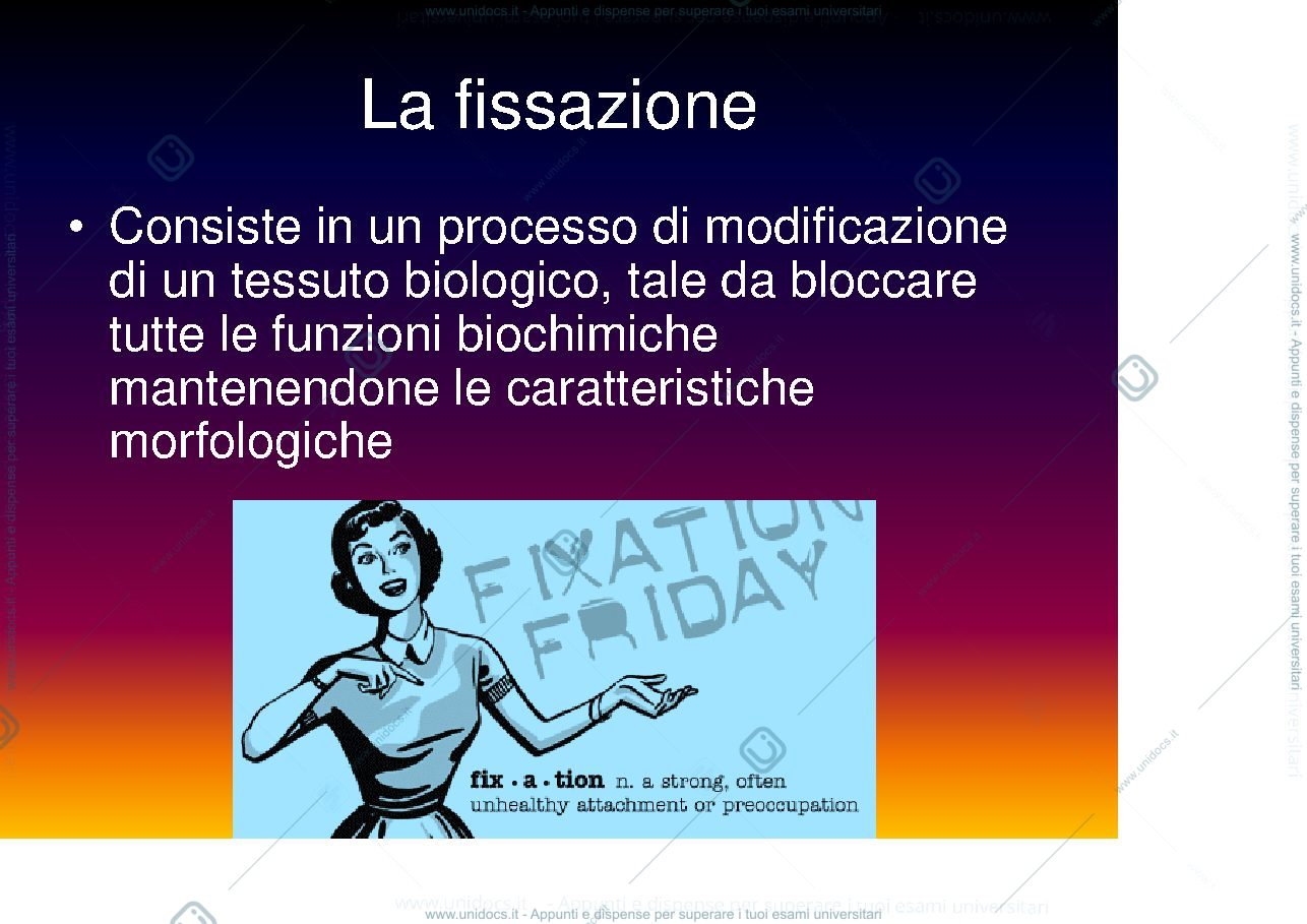 Anteprima pagina 2 — fissazione