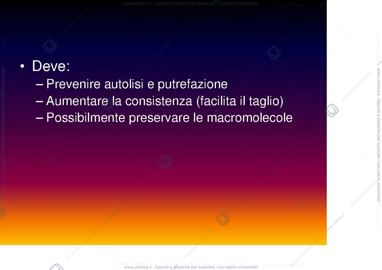 Anteprima pagina 4 — fissazione