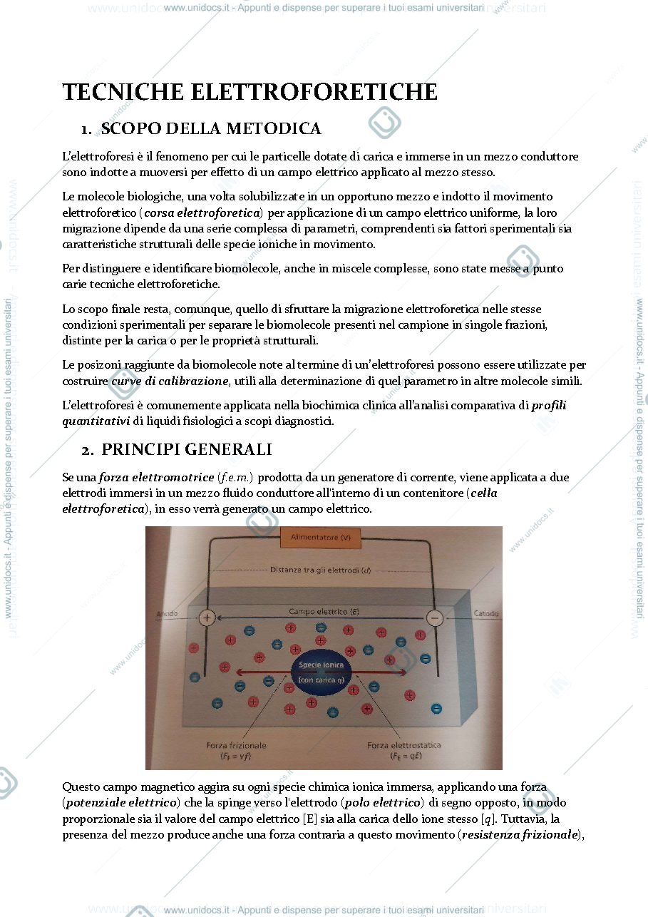Anteprima pagina 1 — Tecniche Elettroforetiche