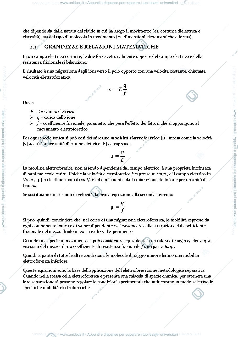 Anteprima pagina 2 — Tecniche Elettroforetiche