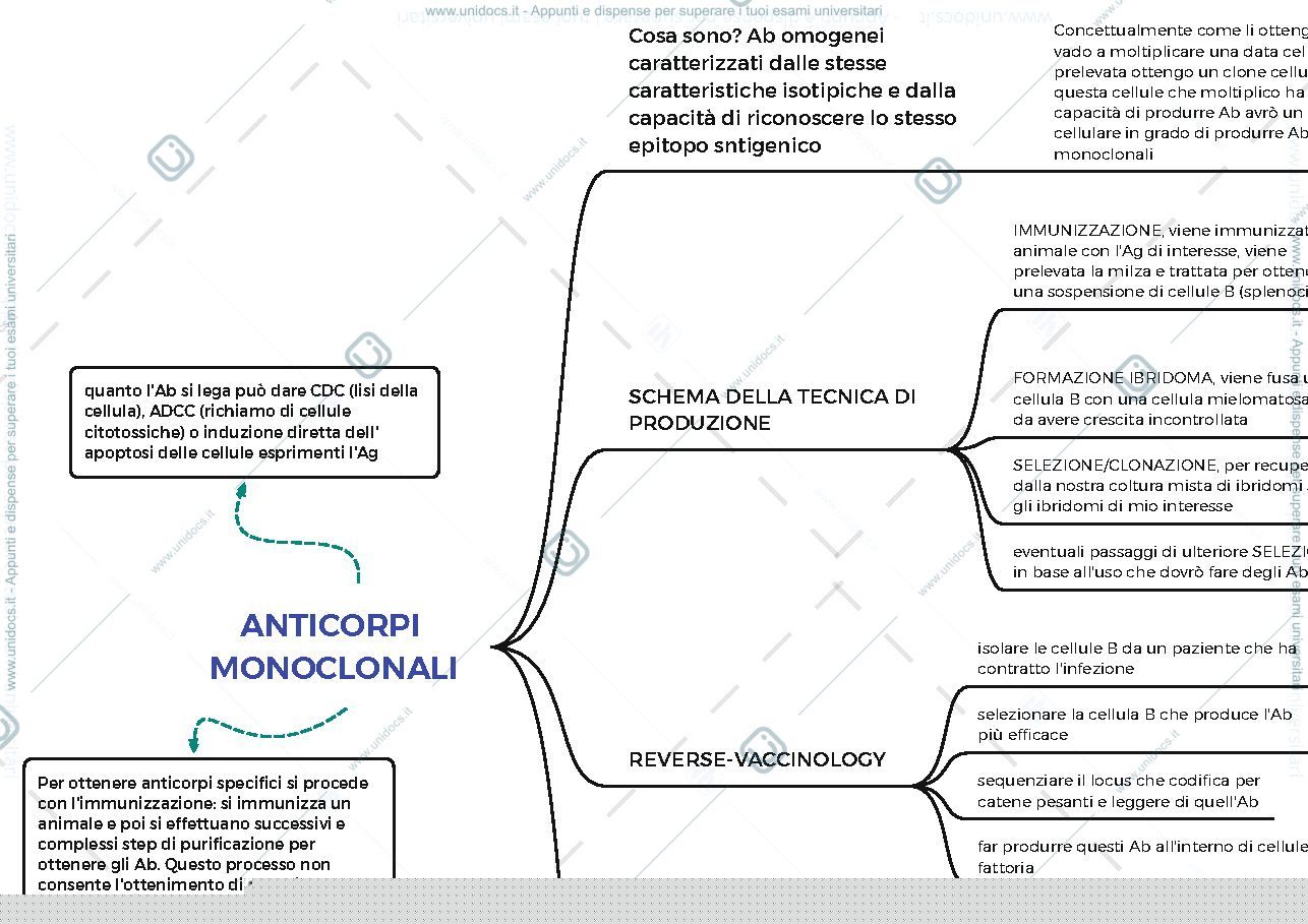 Anteprima pagina 1 — anticorpi monoclonali