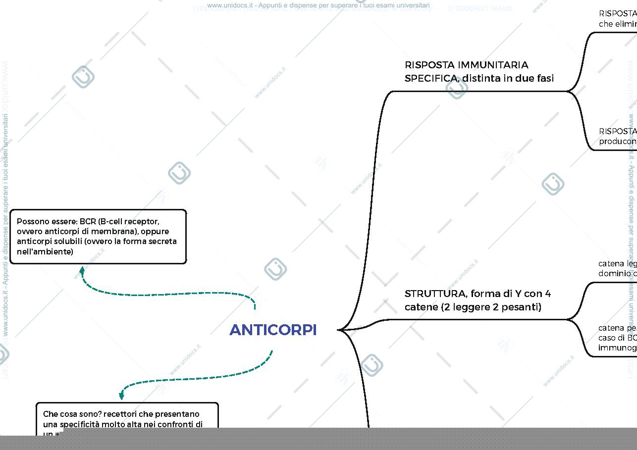Anteprima pagina 1 — anticorpi