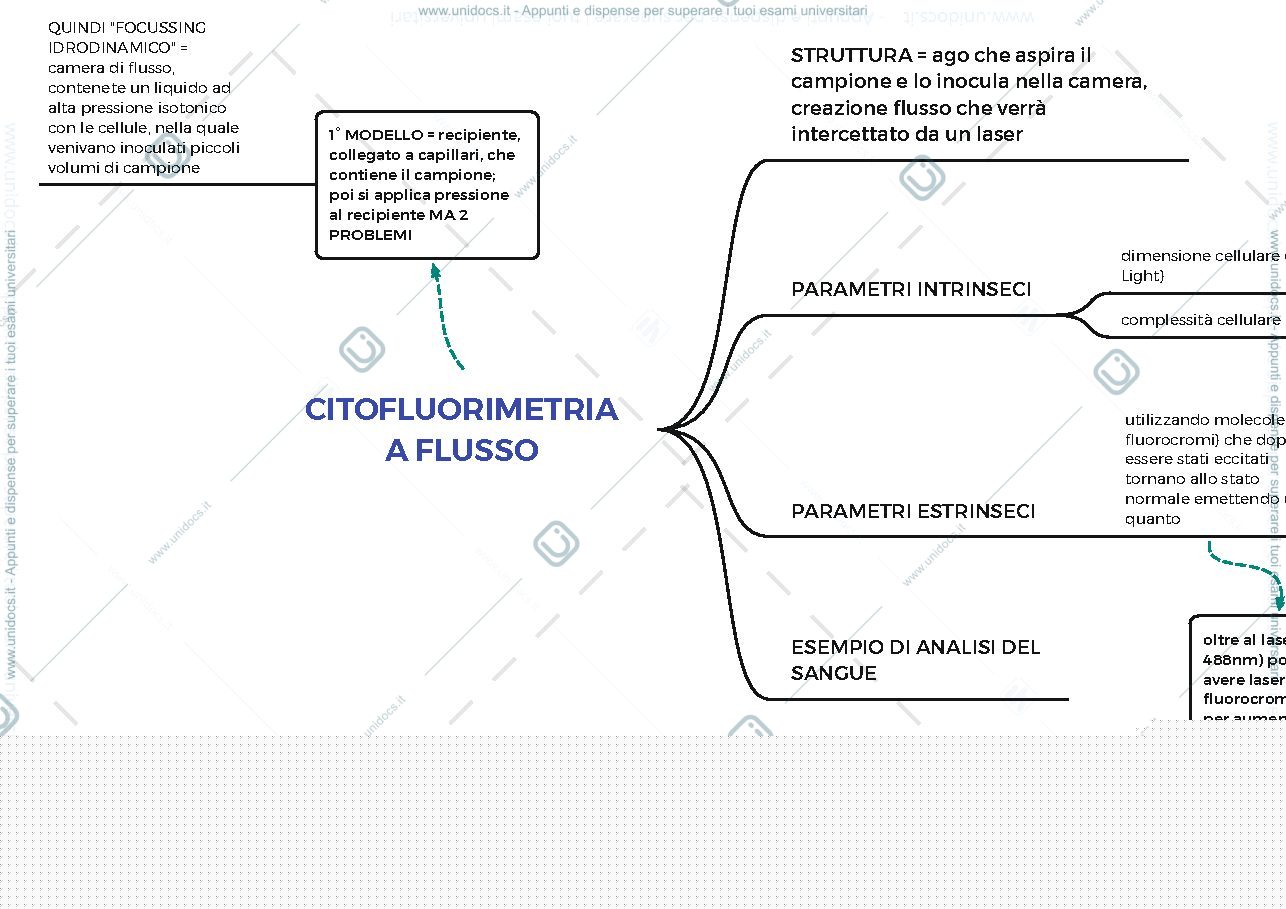 Anteprima pagina 1 — citometria a flusso