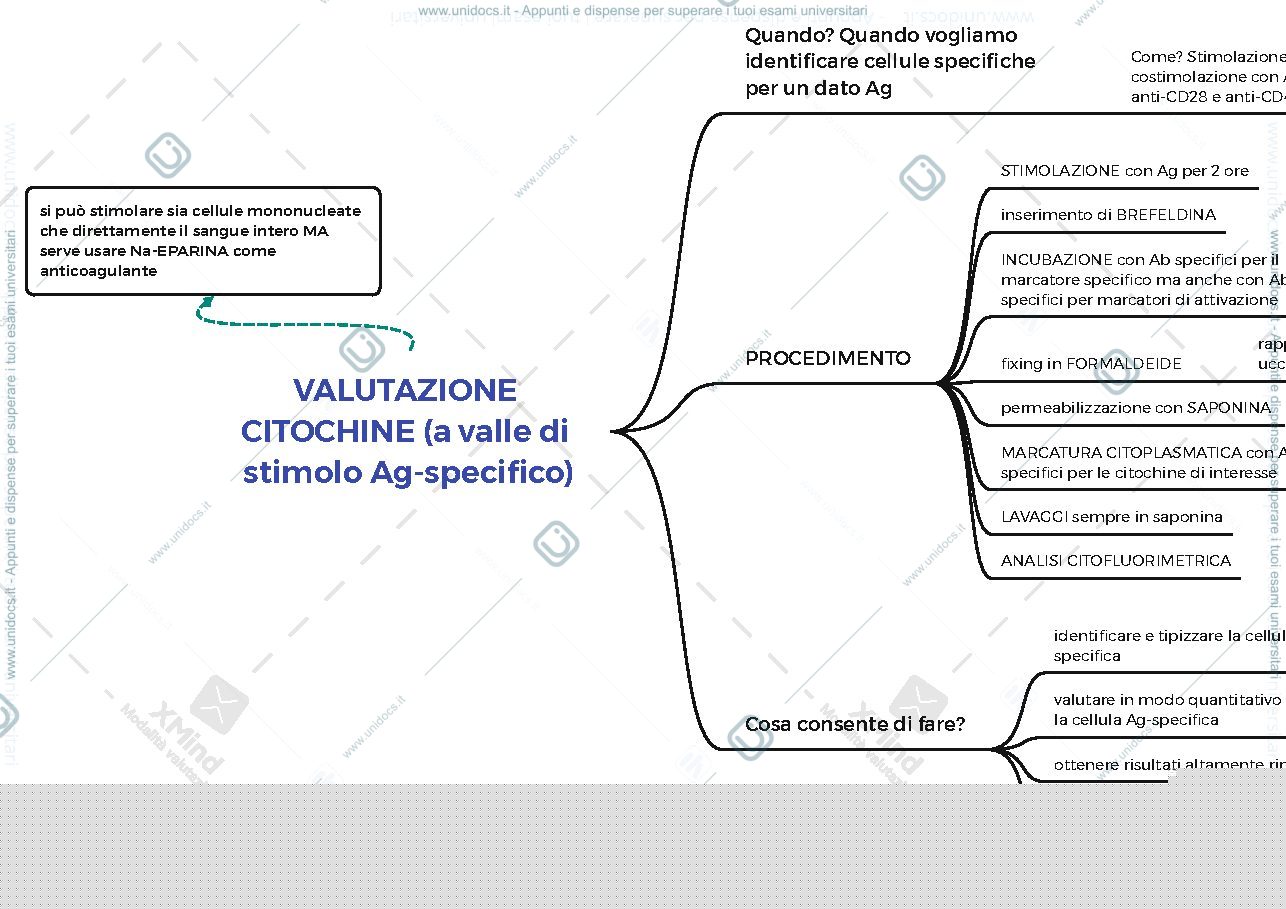 Anteprima pagina 1 — valutazione citochine antigene specifico