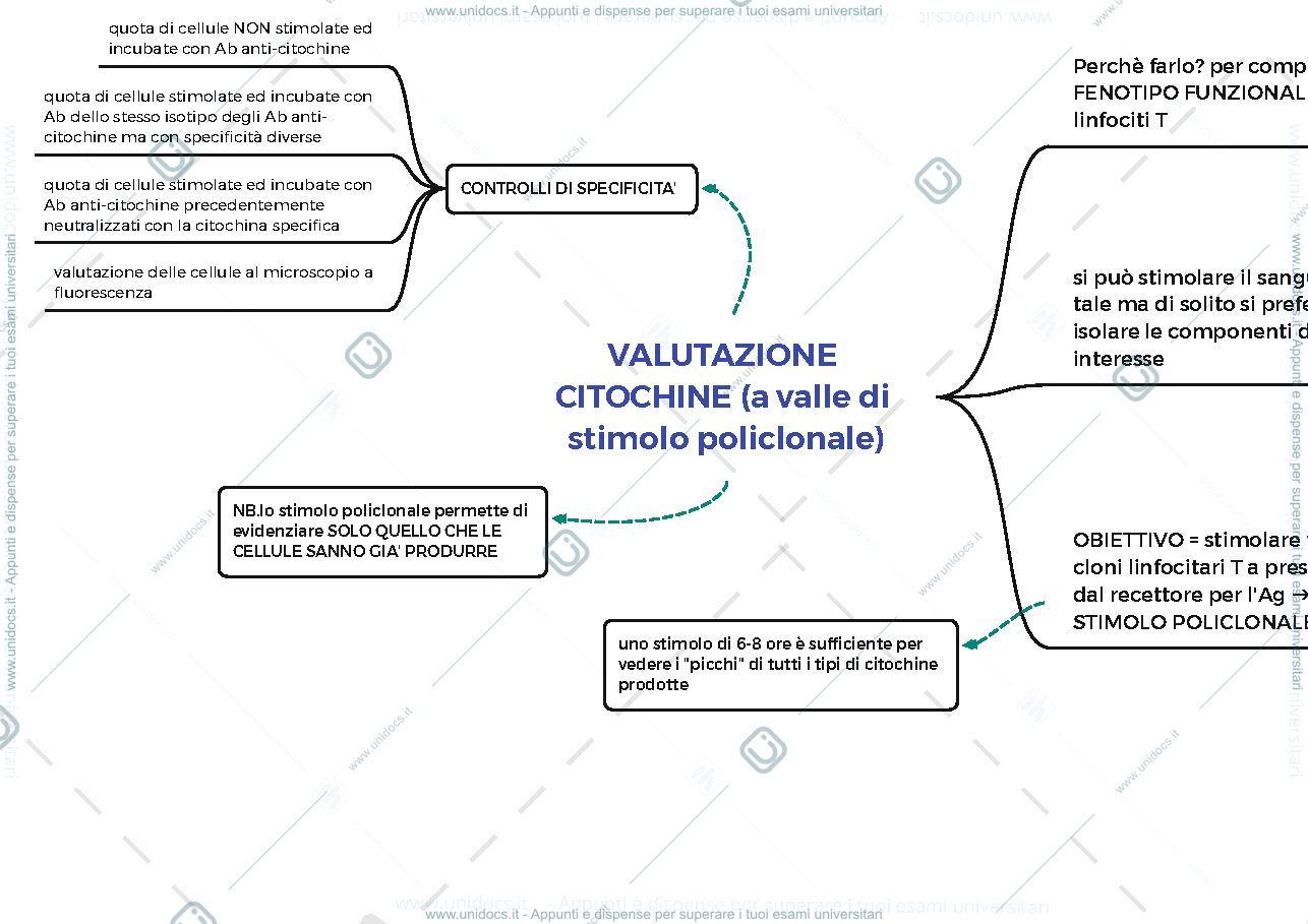 Anteprima pagina 1 — valutazione citochine policlonale
