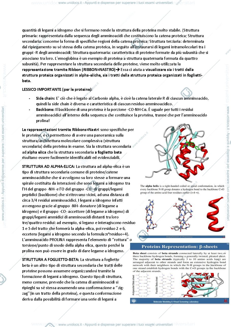 Anteprima pagina 4 — chimica farmaceutica avanzata