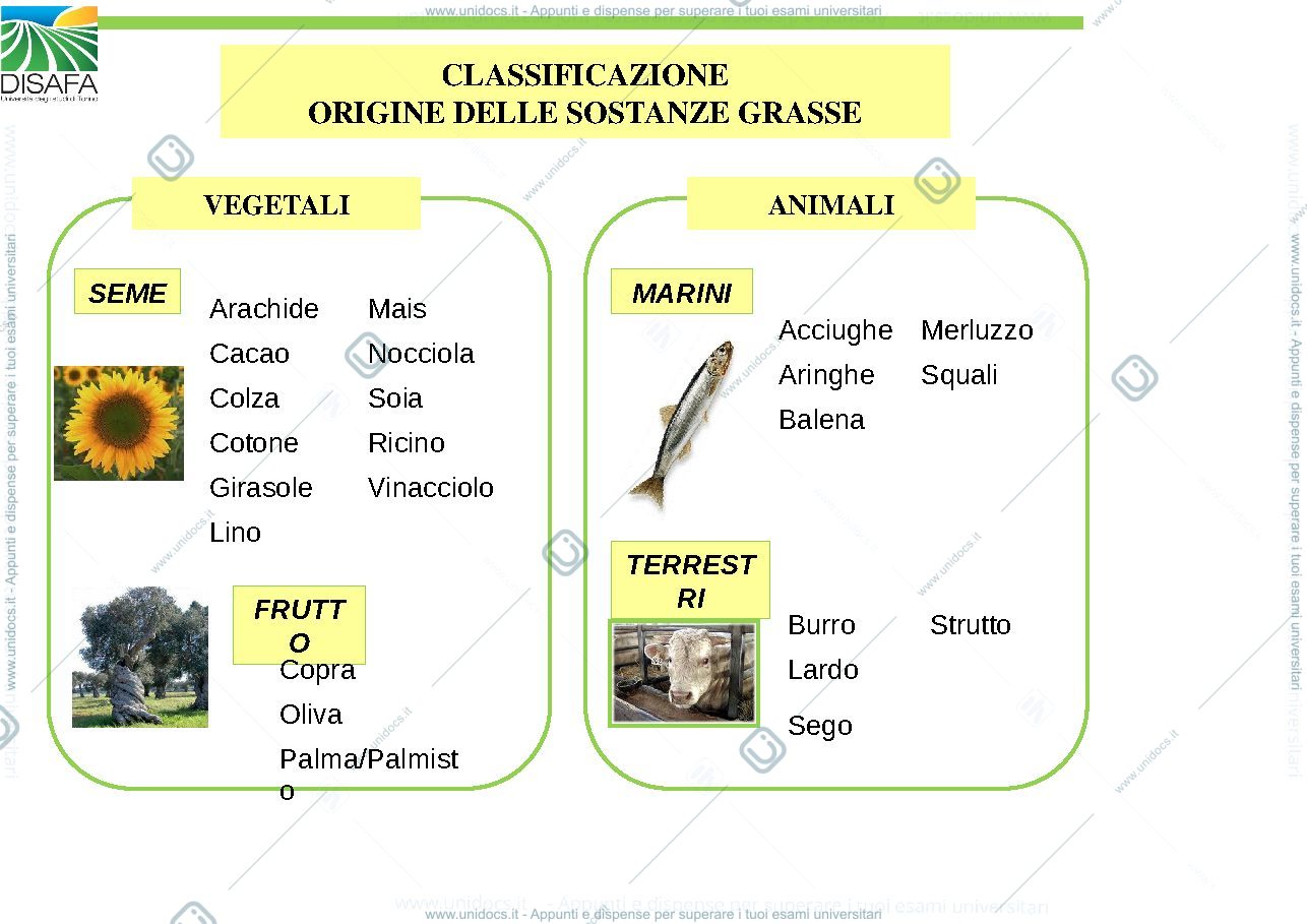 Anteprima pagina 2 — tecnologia alimentari 2