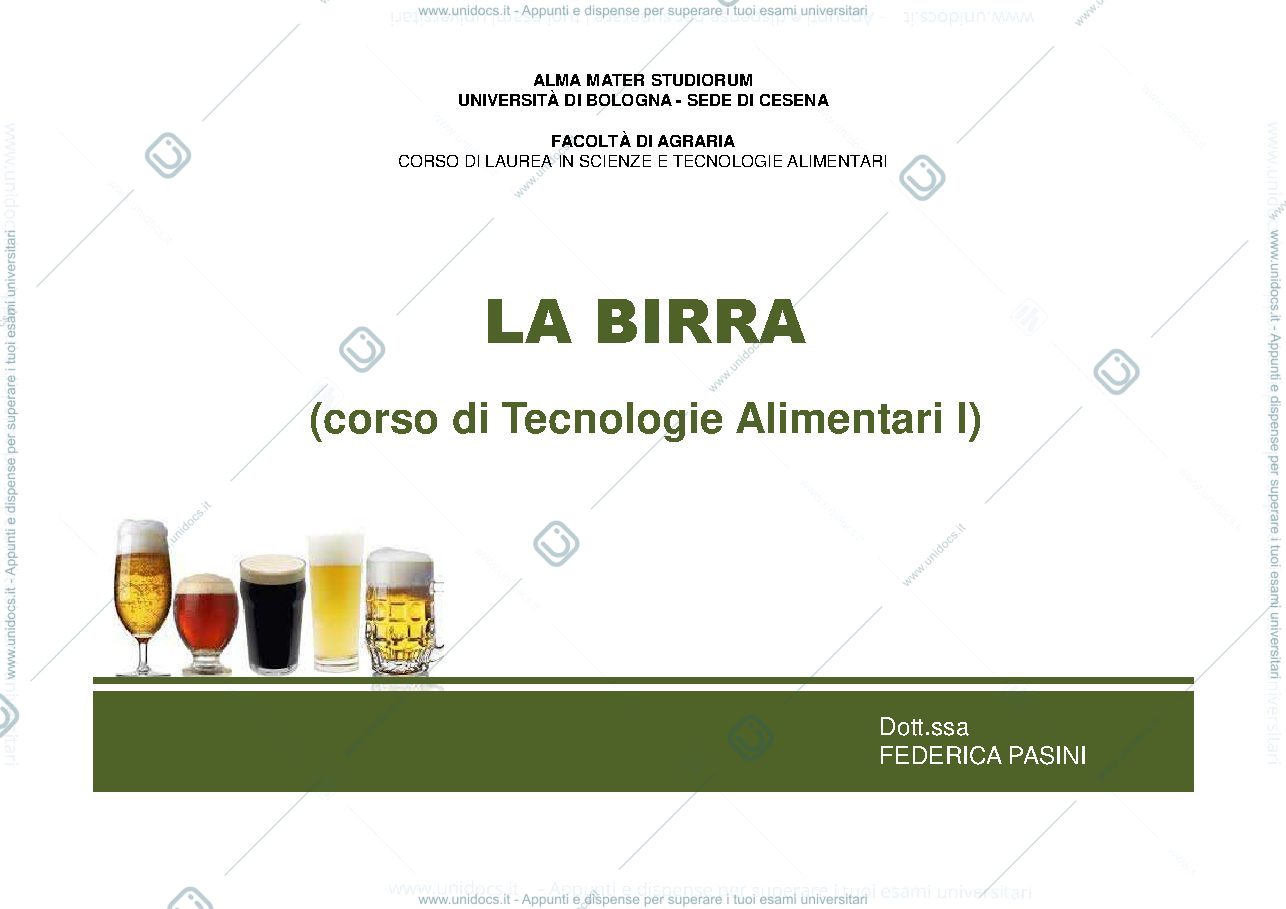 Anteprima pagina 1 — slide di birra