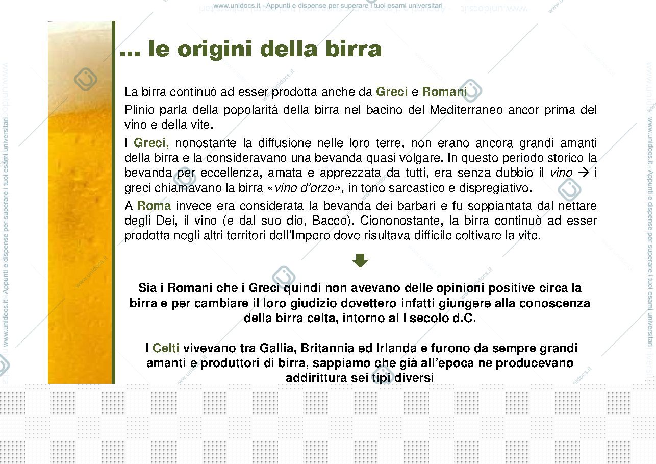 Anteprima pagina 5 — slide di birra