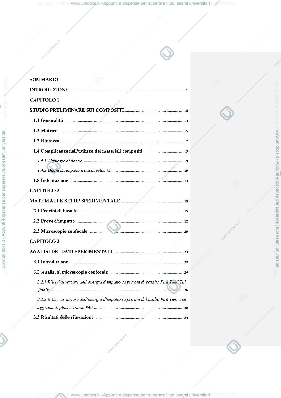 Anteprima pagina 2 — Tesi